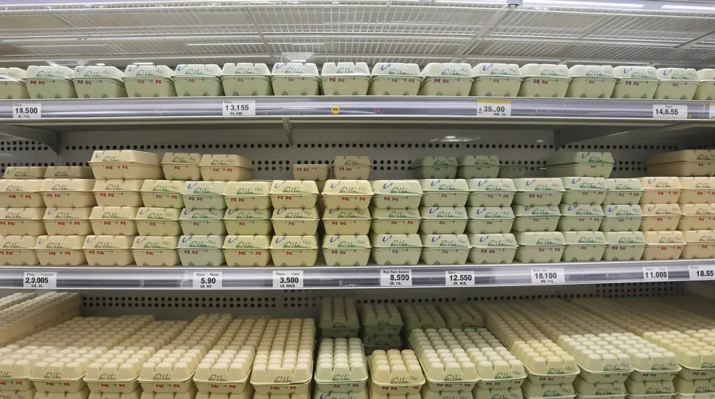 Œufs : en Allemagne, des rayons clairsemés et des prix record